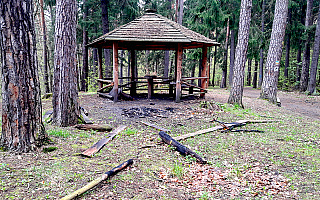 Wandale dewastują ławki i wiaty wypoczynkowe w Lesie Miejskim w Olsztynie